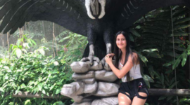 Timeline: mi historia de vida