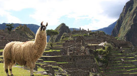 Timeline: The Inca Civilization