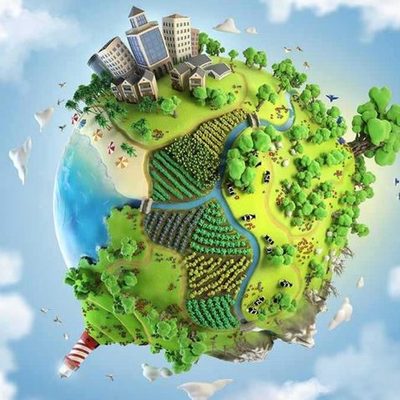 Timeline: Historia de la educación ambiental