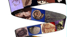 Timeline: The Evolution