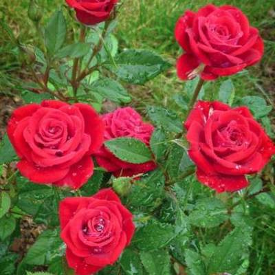 Timeline: Моя жизнь с рождения до сегодняшнего дня