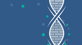 Timeline: The History of GMO's