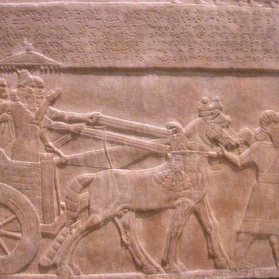 Timeline: Mezzaluna fertile