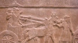 Timeline: Mezzaluna fertile