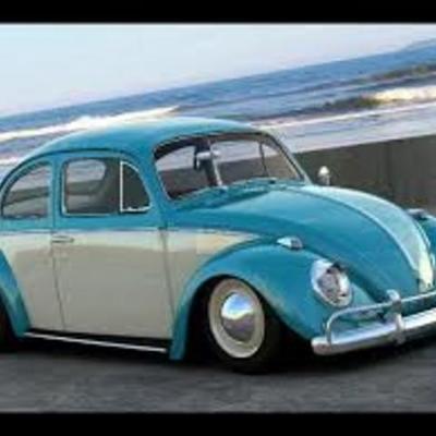 Timeline: la historia de los bochos