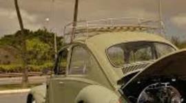 Timeline: historia de los vochos