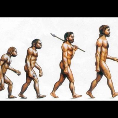 Timeline: Эволюция Аслана