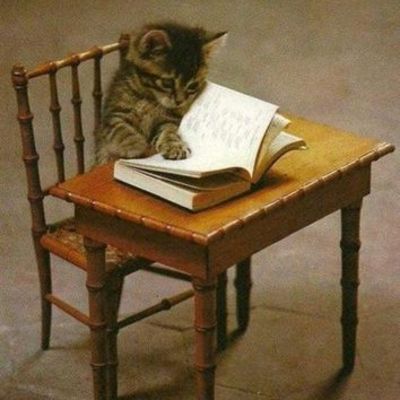 Timeline: the story of my life