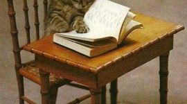 Timeline: the story of my life