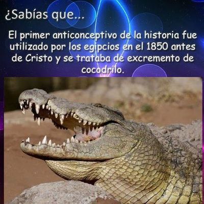 Timeline: Anticonceptivos en la Antiguedad Clasica