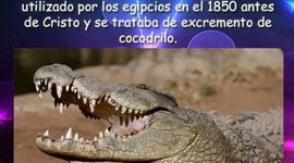 Timeline: Anticonceptivos en la Antiguedad Clasica