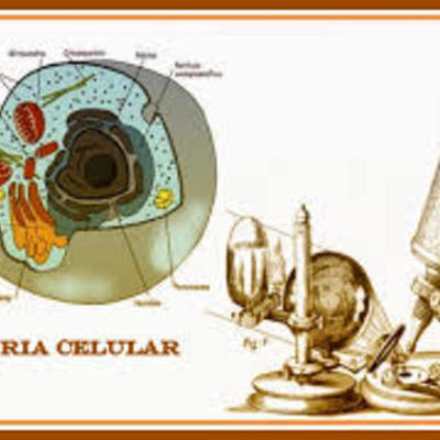 Timeline: LINEA DE TIEMPO DE LA CÉLULA