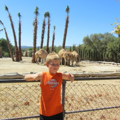 Timeline: La meva biografia