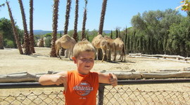 Timeline: La meva biografia