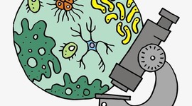 Timeline: История изучения клетки