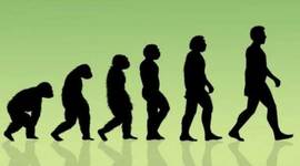 Timeline: El Origen Del Hombre