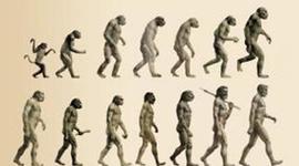 Timeline: EL ORIGEN  DEL HOMBRE