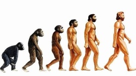 Timeline: El origen del hombre