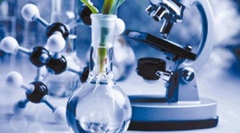 Timeline: Historia de la Biotecnología