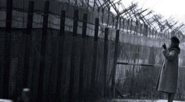 Timeline: A Family Torn Apart