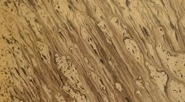 Timeline: Historia de la Pragmática