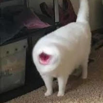 Timeline: My personal timeline olivia