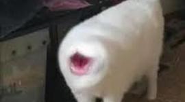 Timeline: My personal timeline olivia