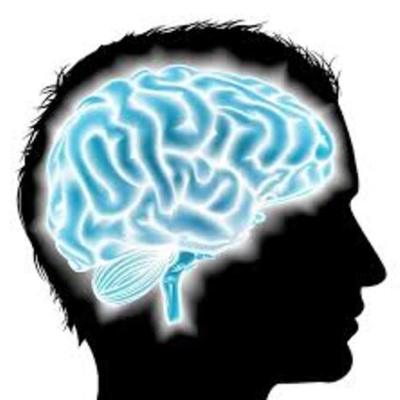 Timeline: Psicofisiologia