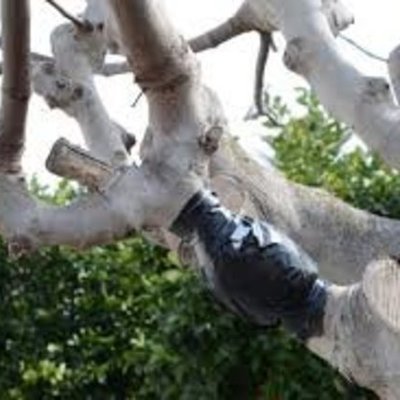 Timeline: Acodos aereos