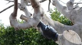 Timeline: Acodos aereos