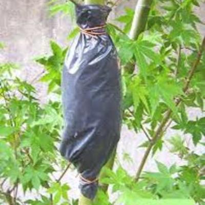 Timeline: Acodos aereos