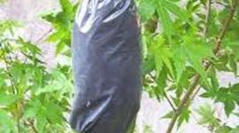 Timeline: Acodos aereos