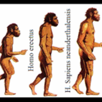 Timeline: Timeline of the history of the world.