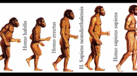 Timeline: Timeline of the history of the world.