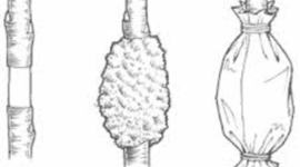 Timeline: Acodos Aereos