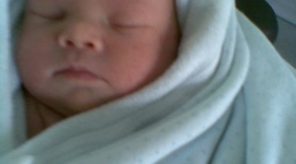 Timeline: THE BOY WONDER