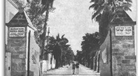 Timeline: היסטוריה של מקוה ישראל