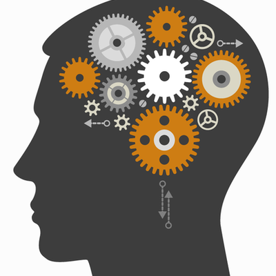 Timeline: Le développement du cerveau