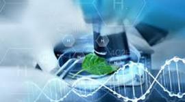 Timeline: HISTORICAL BIOTECHNOLOGY ACHIEVEMENTS