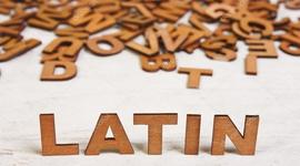 Timeline: El latín nuestro idioma.