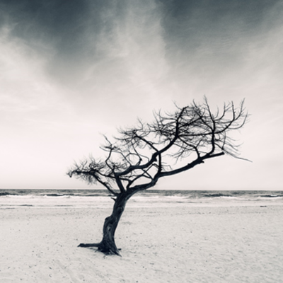 Timeline: Edat Moderna