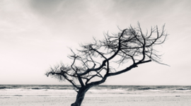 Timeline: Edat Moderna