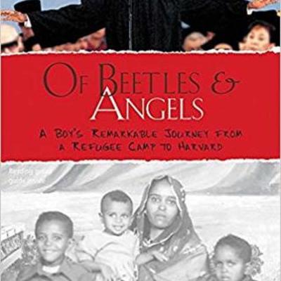 Timeline: Of Beetles & Angels