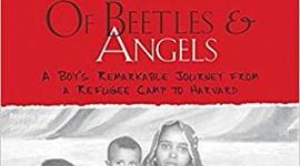 Timeline: Of Beetles & Angels