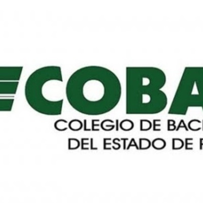 Timeline: Mi línea de vida