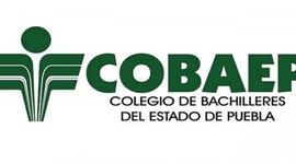 Timeline: Mi línea de vida