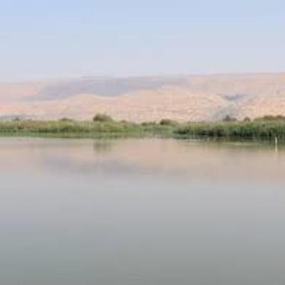 Timeline: אגמון החולה ציר זמן