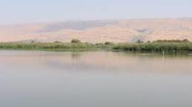 Timeline: אגמון החולה ציר זמן