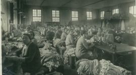 Timeline: EVOLUCIÓ MÓN INDUSTRIAL