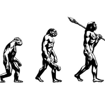 Timeline: EVOLUZIONE DELL'UOMO